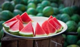 吃瓜娱乐素材哪里找,吃瓜娱乐素材的宝藏之地